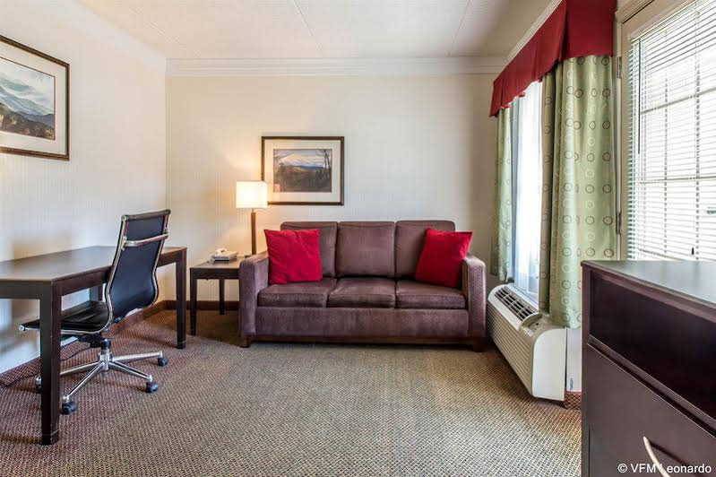 Black Bear Inn & Suites - photo 9