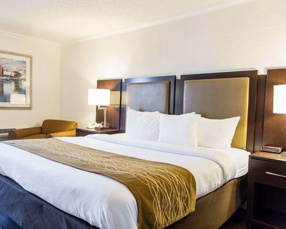 Comfort Inn Oceanside Deerfield Beach - photo 18