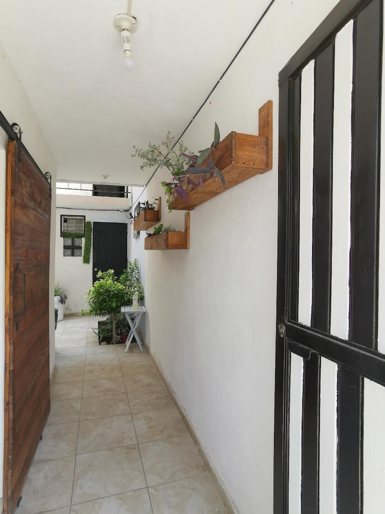 Kenzi Lomas in San Luis Potosi, Mexico