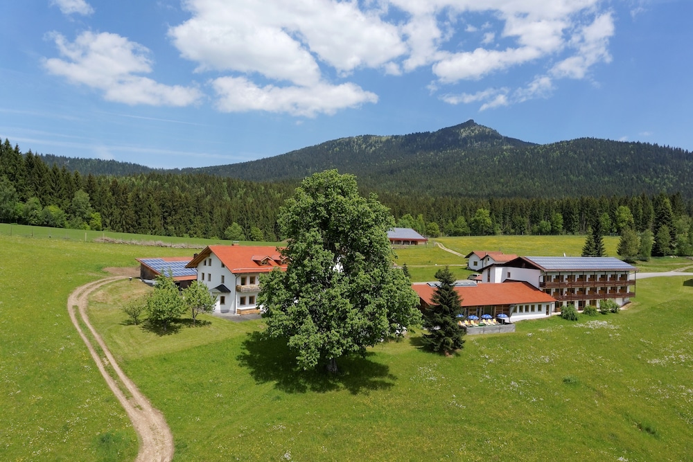 Osserhotel - last minute hotel in Lohberg