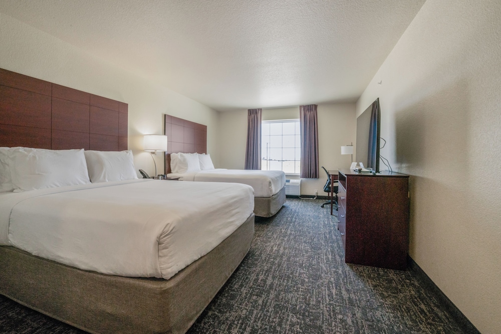 Cobblestone Inn & Suites Boise City - photo 15