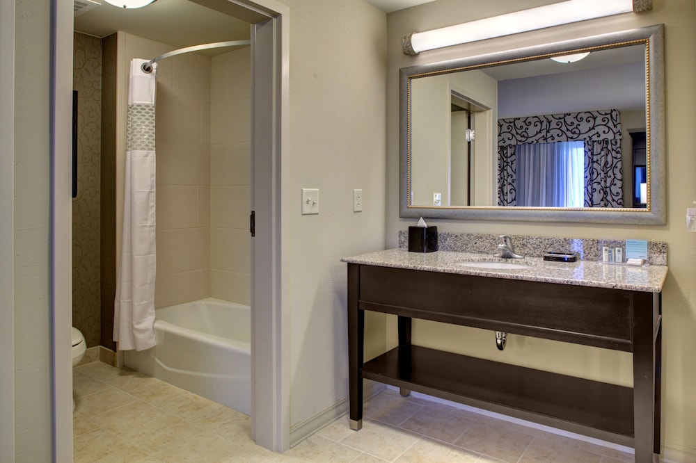 Hampton Inn & Suites Baton Rouge Downtown - photo 29