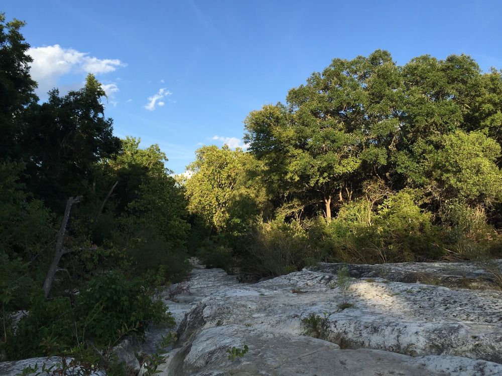 Austin Eco Retreat - photo 8