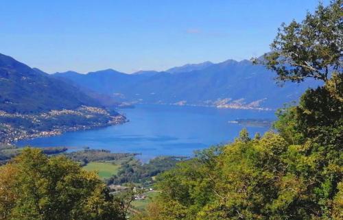 Helle Sonne in Gordola, Switzerland