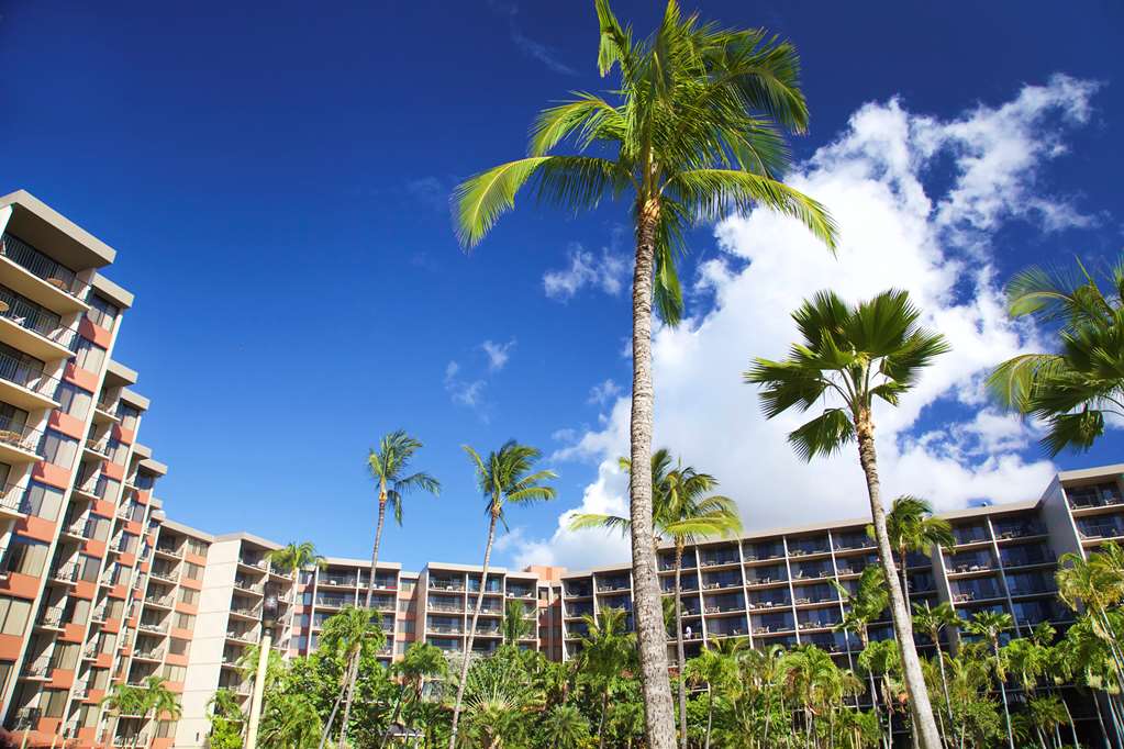 Aston Kaanapali Shores - photo 33