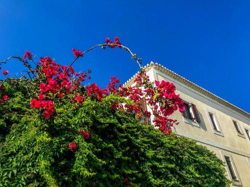 Ulysses Hotel — Methoni — photo 3
