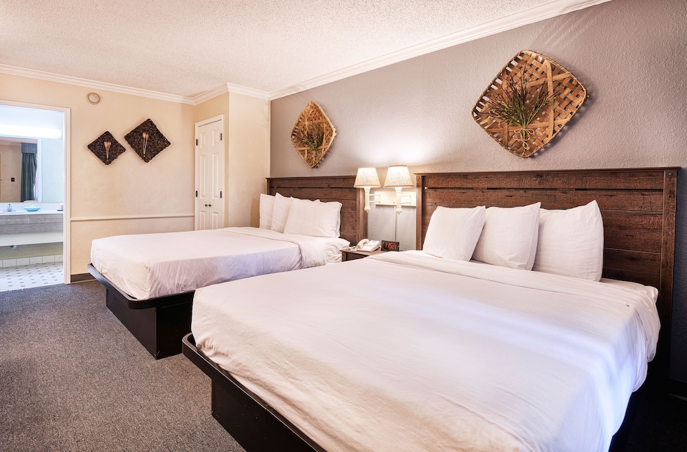 San Mateo Inn - photo 6