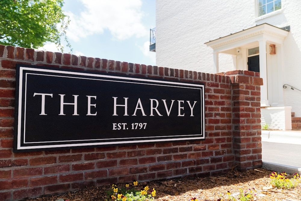 The Harvey - photo 134