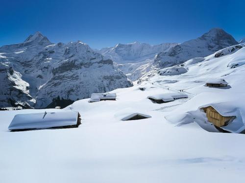 Apartment Chalet Abendrot apARTments 29 by Interhome — 4-Star Luxury Hotel in Grindelwald, Switzerland