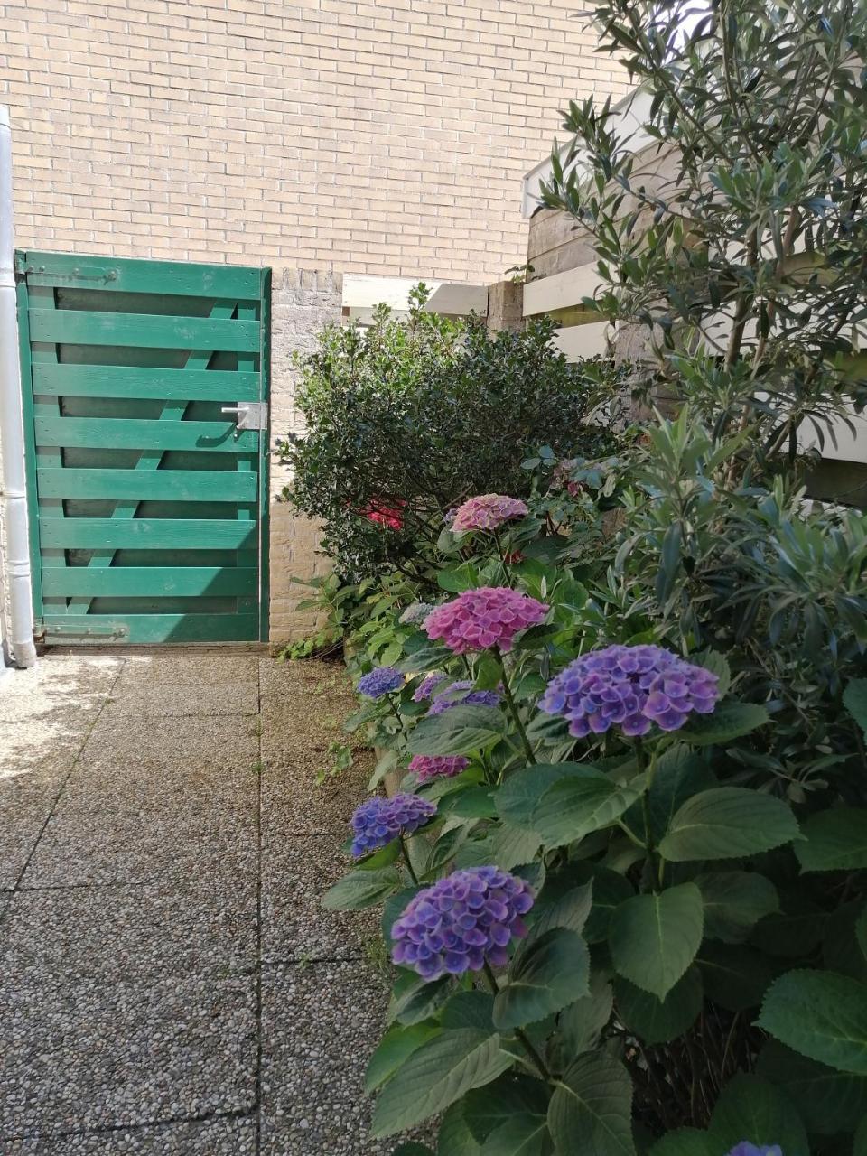 Yuki in Zandvoort, Netherlands