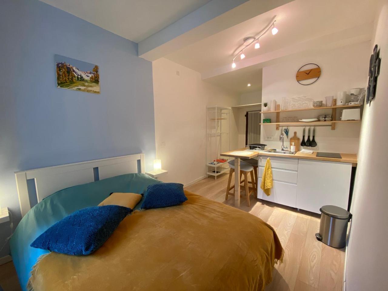 Studio Tres Agreable Proche de Auron — hotel in Saint-Etienne-De-Tinee