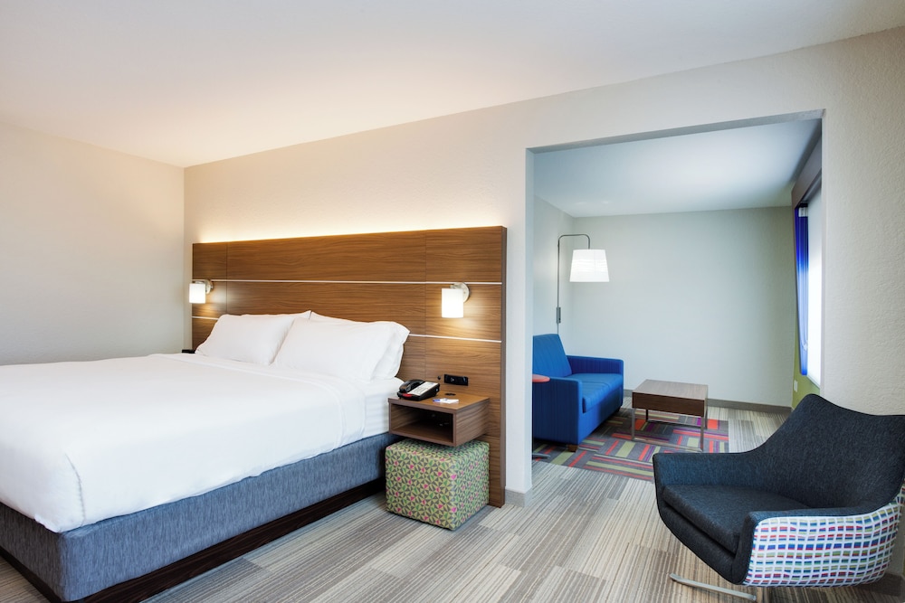 Holiday Inn Express Hotel & Suites Tampa Fairgrounds Casino by IHG - photo 25