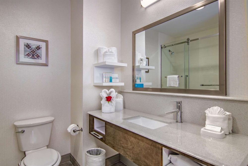 Hampton Inn Houston NASA Johnson Space Center - photo 11