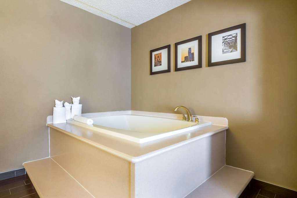 Comfort Suites at Woodbridge - photo 33