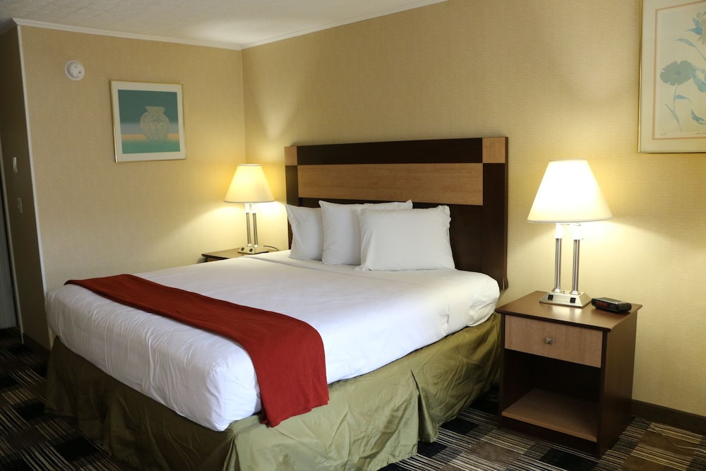Castlewood Inn - photo 15