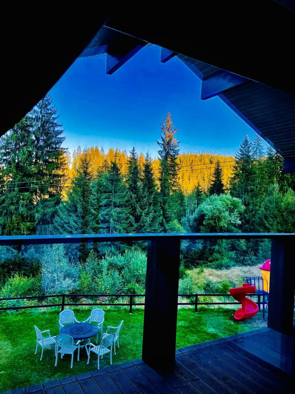 Alpine Lounge — Vatra Dornei — photo 5
