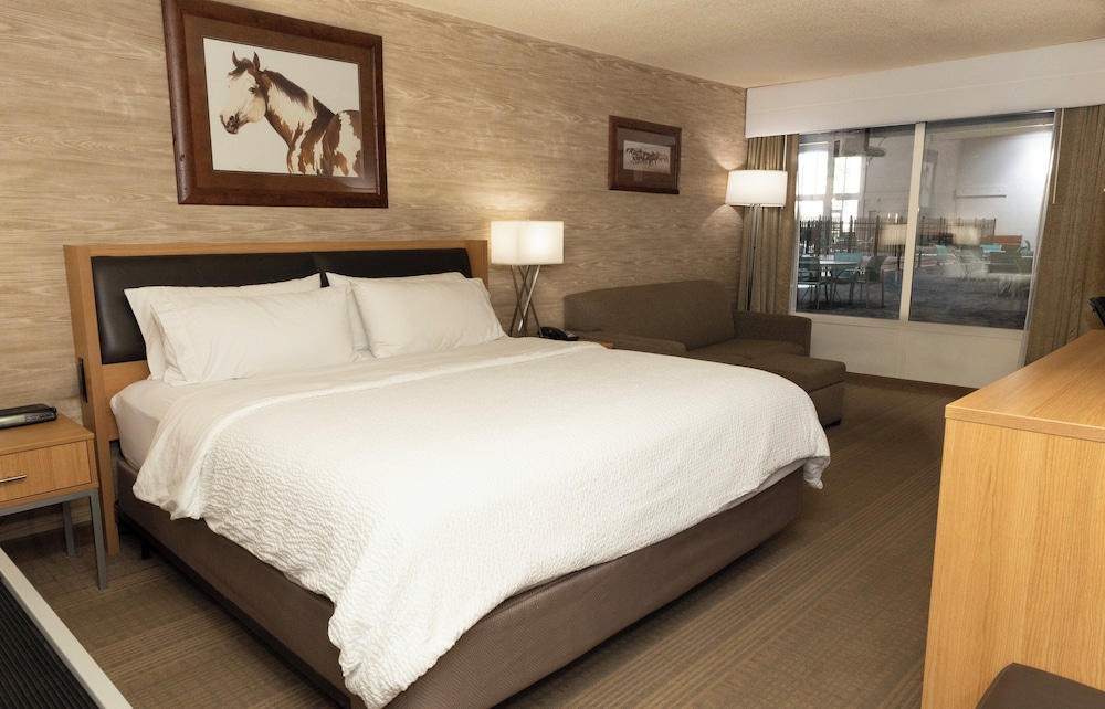 Holiday Inn Spearfish Convention Center by IHG - photo 18