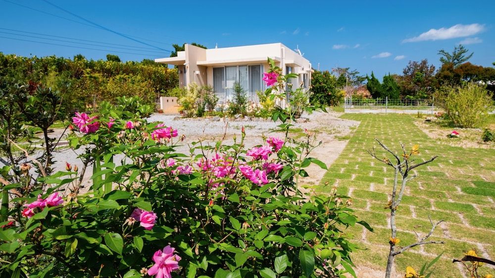 Yagajiya in Nago, Japan