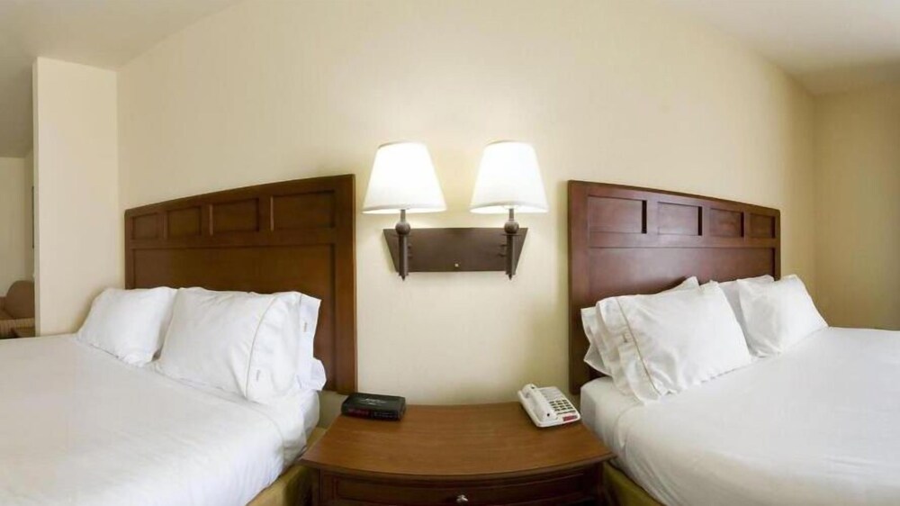 Holiday Inn Express & Suites Levelland by IHG - photo 4