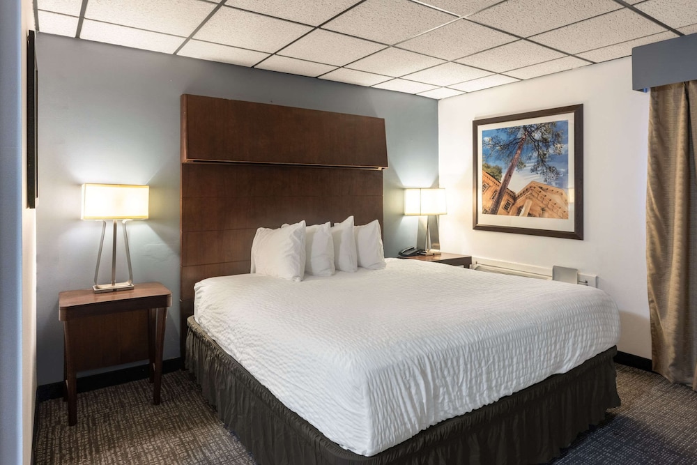 Quality Inn & Suites Caribou - photo 29