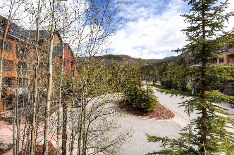 The Springs Condos by Keystone Resort - photo 62