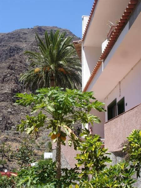 Goyo Gomera Apartments 7078814 — Calera Y Chozas