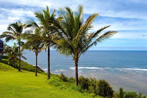 Sealodge at Princeville - photo 26