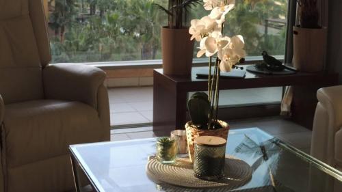 Luxury apartment beach and swimming pool — Guia — photo 5