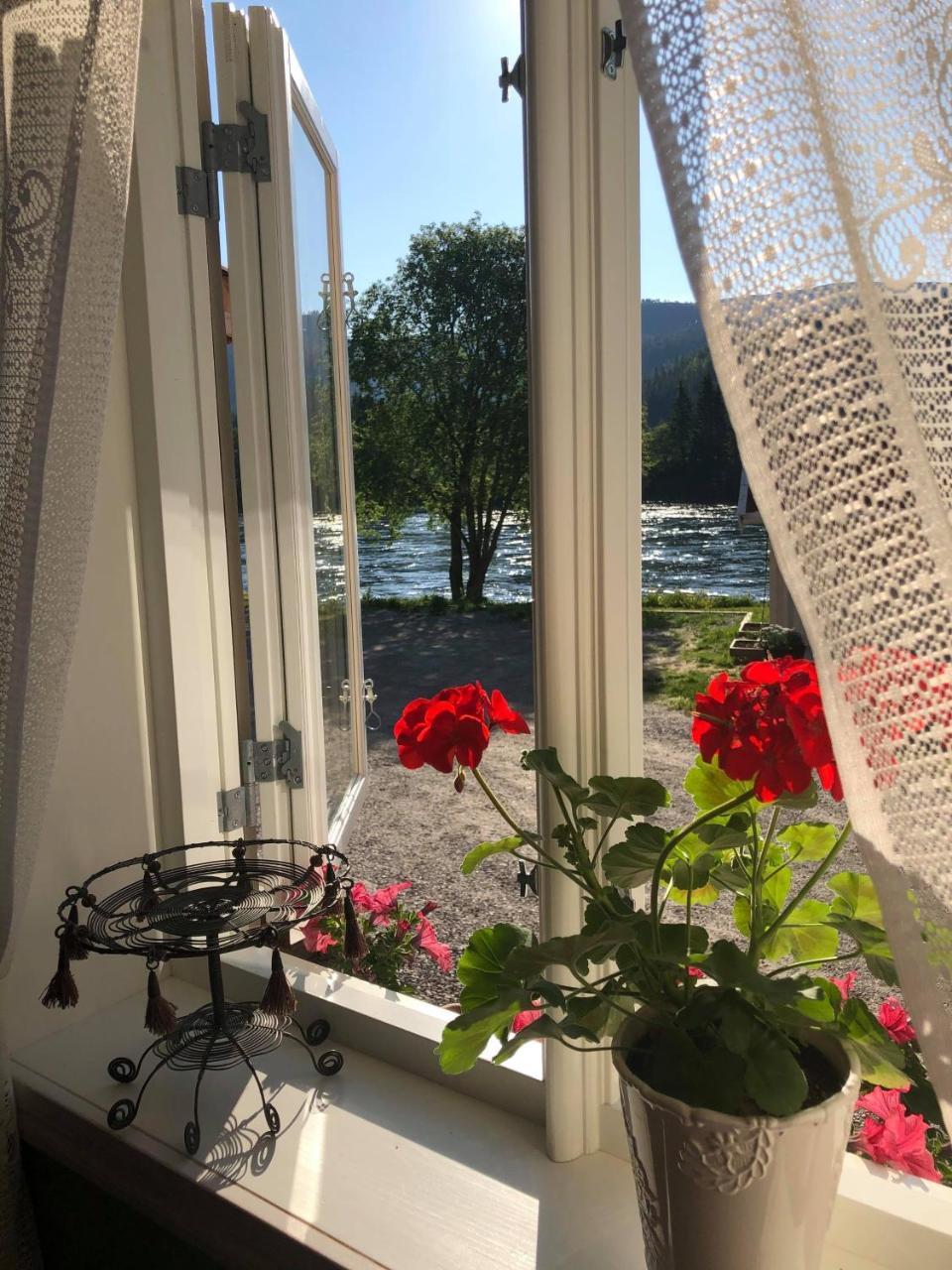 Bakarstuo Utpa Neset - last minute hotel in Trofors