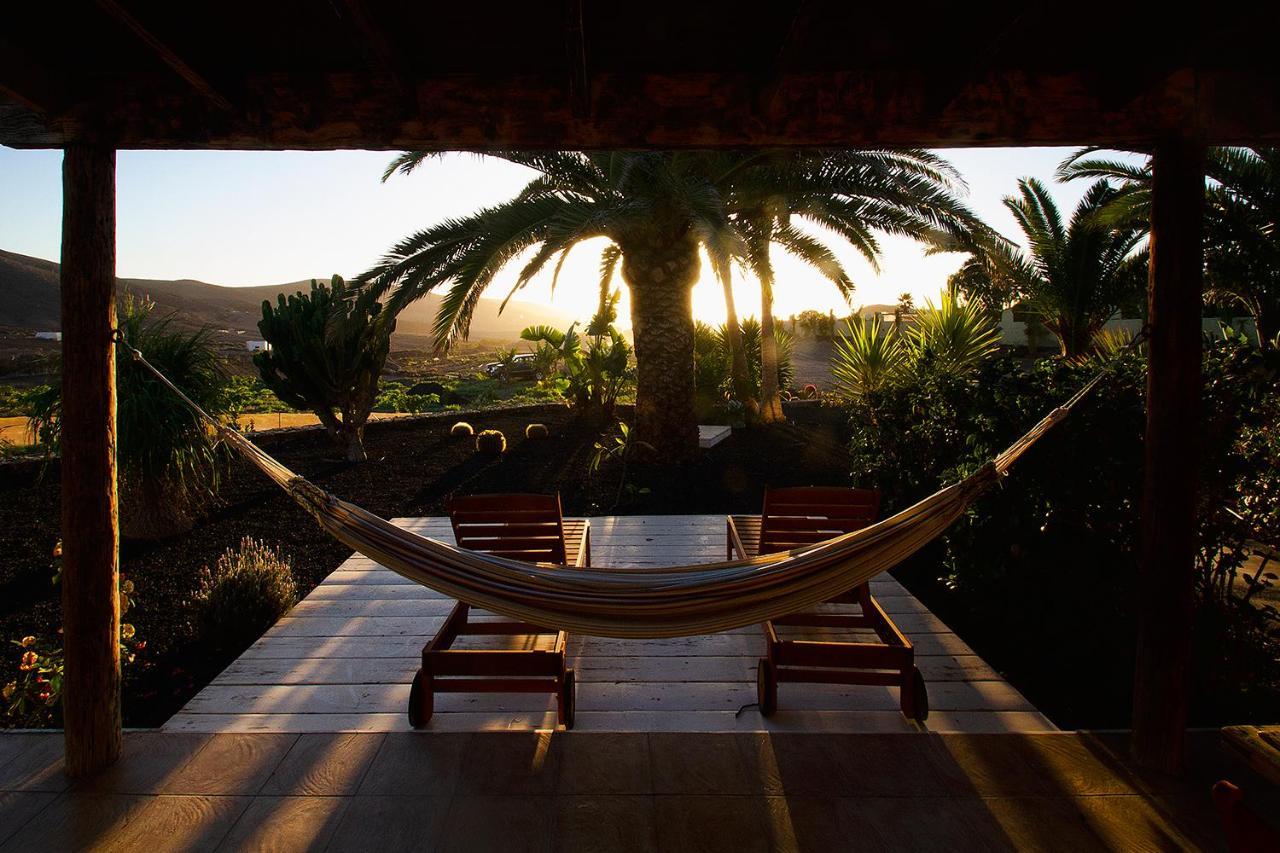 Finca Arbequina in Pajara, Spain