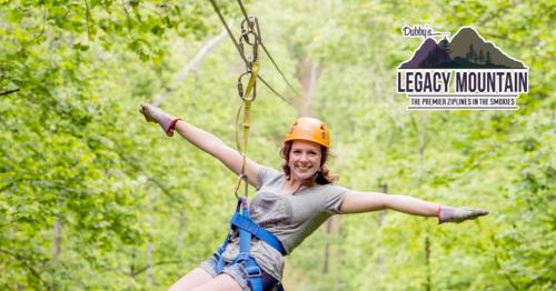 Eagles View - last minute hotel in Gatlinburg