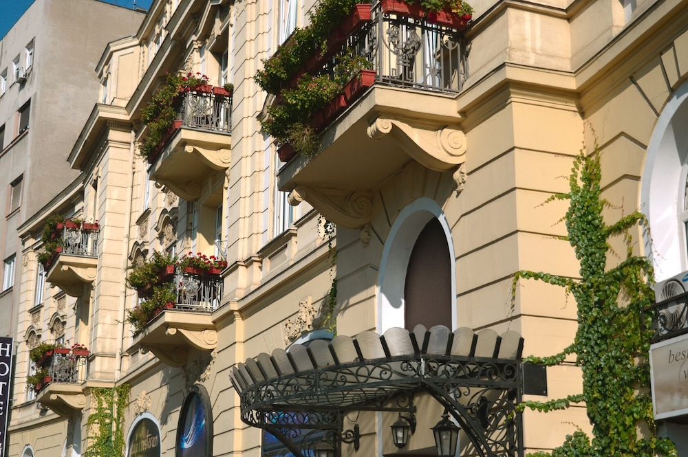 מראה חיצוני