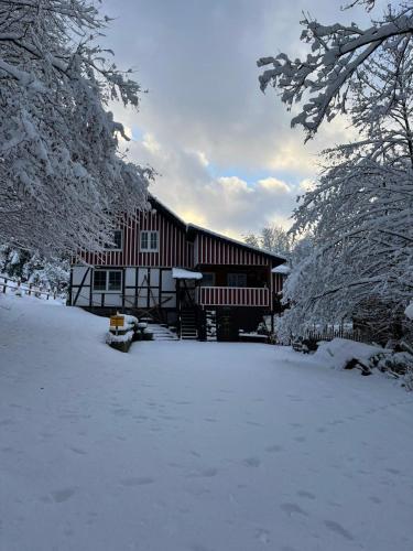 Alte Muhle Das Ferienhaus Im Grunen — Meschede