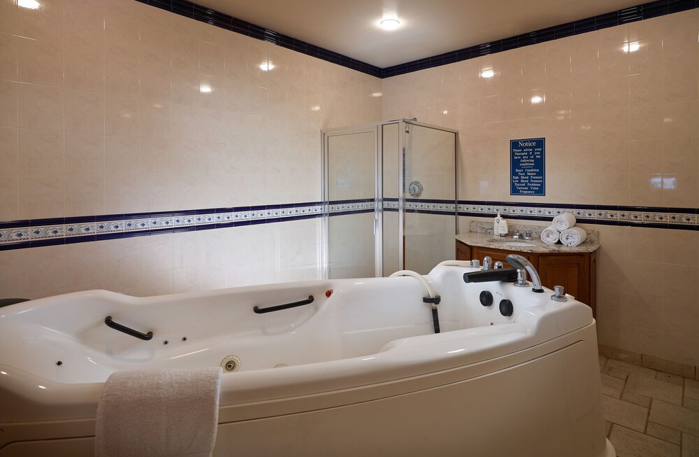 Plaza Resort & Spa - photo 39