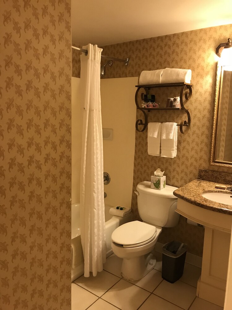 Ramada Dallas North - photo 19