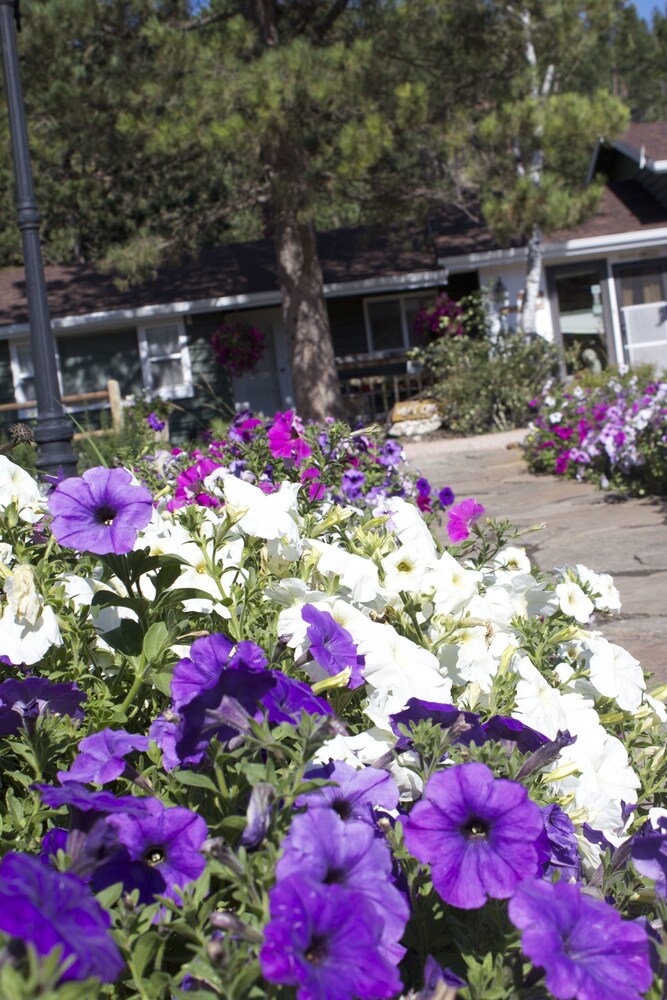 Black Elk Resort Cottages and RV Park - photo 53