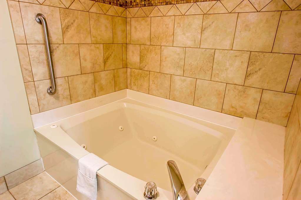 Quality Inn & Suites Germantown North - photo 21