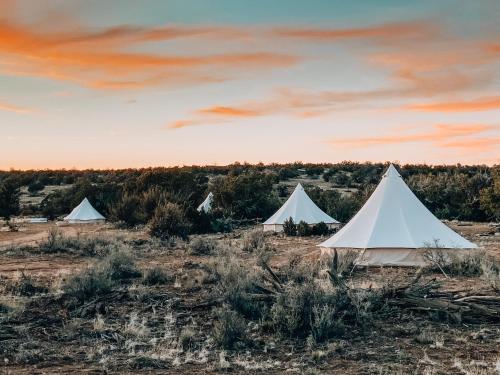 Wander Camp Grand Canyon - photo 3
