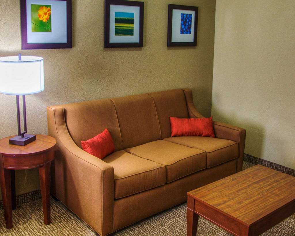 Comfort Suites Plymouth near US 30 - photo 11