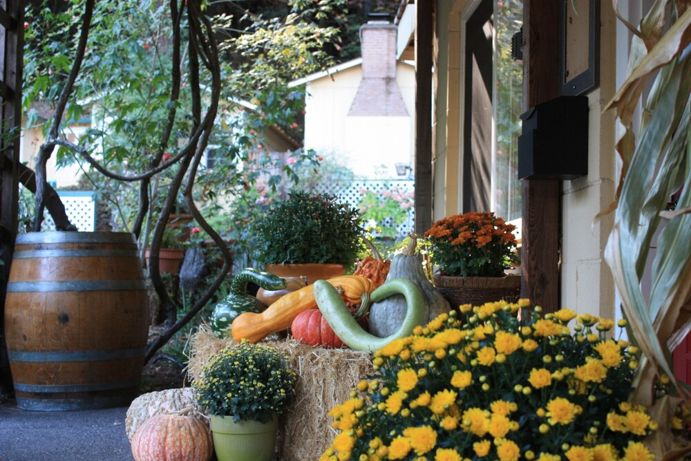 Fern Grove Cottages - photo 85