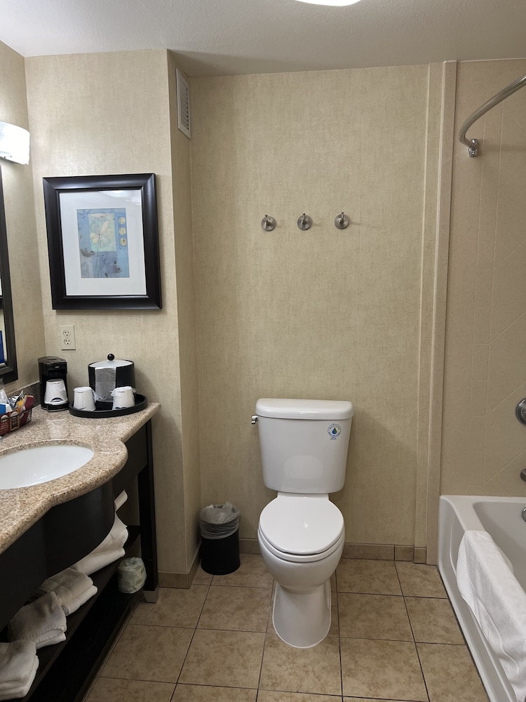 Hampton Inn & Suites Barstow - photo 27