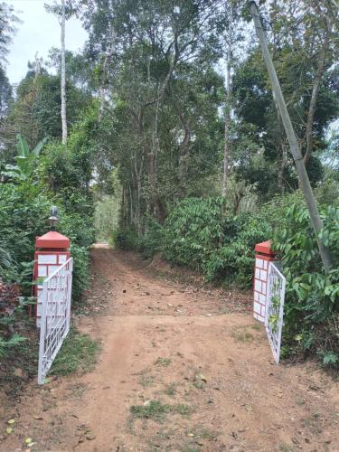 Coorg klusters estate stay — Virarajendrapet — photo 4