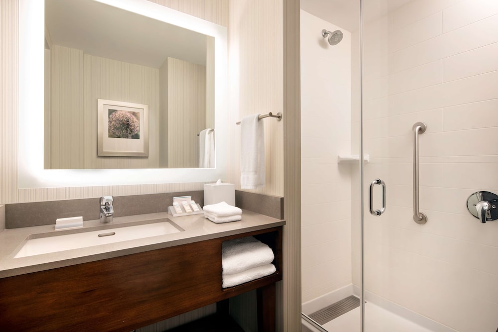 Hilton Garden Inn Long Island City New York - photo 28