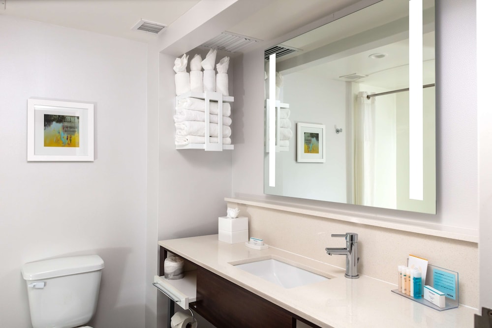 Hampton Inn & Suites Arlington Crystal City DCA - photo 40