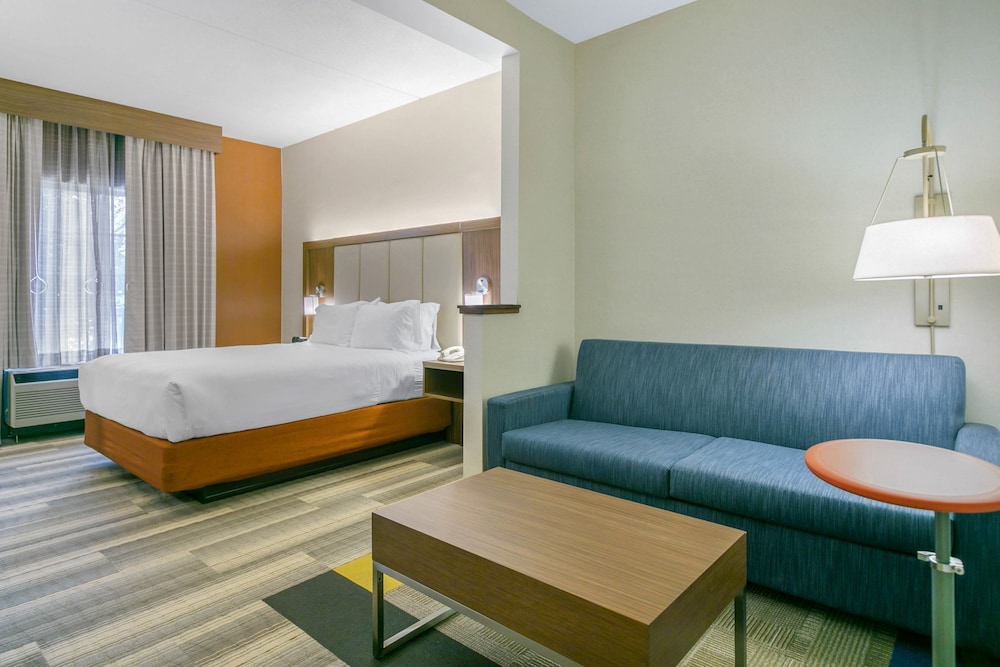 Holiday Inn Express Hotel & Stes Mt. Arlington Rockaway Area by IHG - photo 8