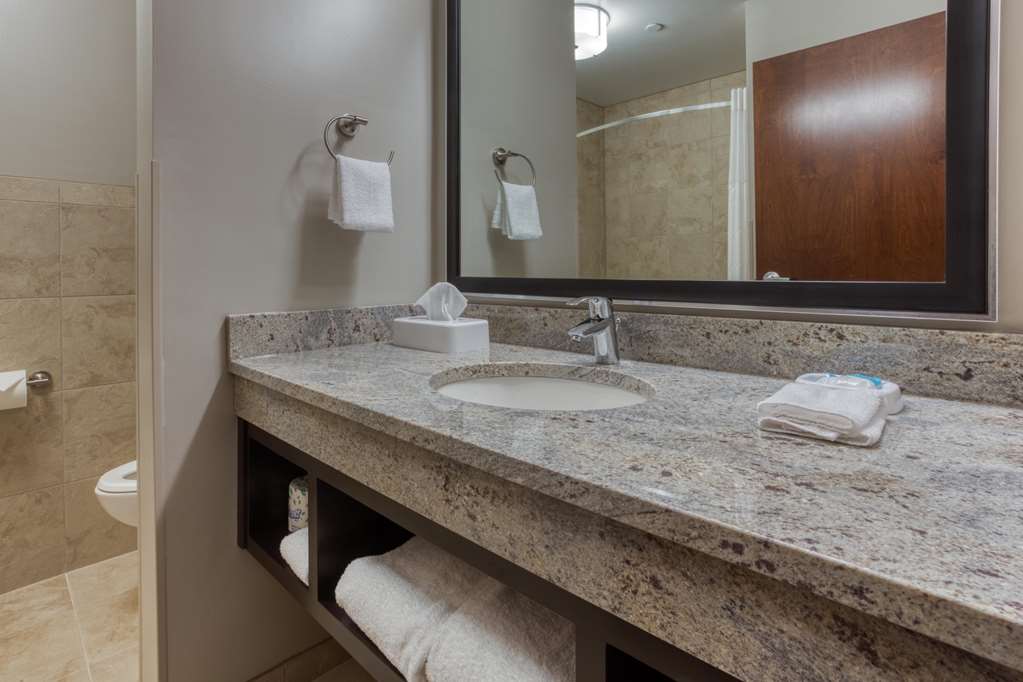 Drury Inn & Suites Huntsville at the Space & Rocket Center - photo 16