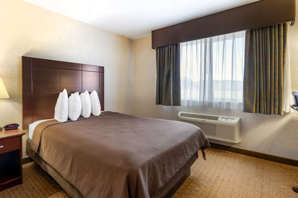 Best Western Wittenberg Inn - photo 18