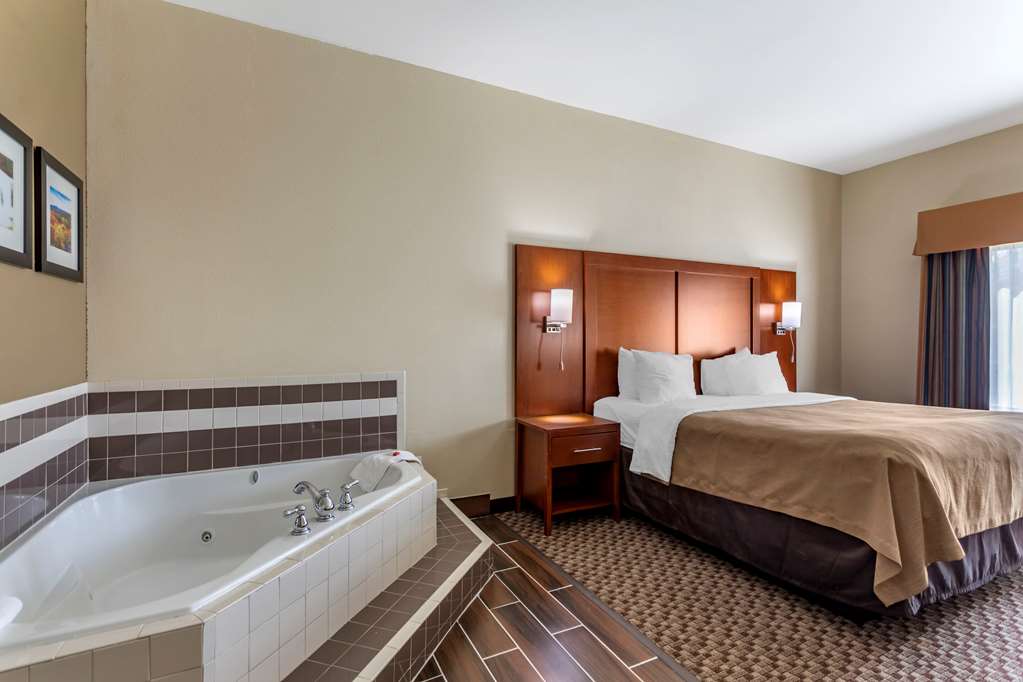 Comfort Inn & Suites Carbondale University Area - photo 8