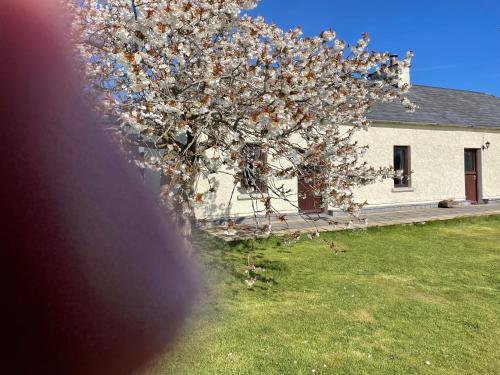 Deerpark Holiday cottages Dairy — 4-Star Luxury Hotel in Killaloe, Republic of Ireland