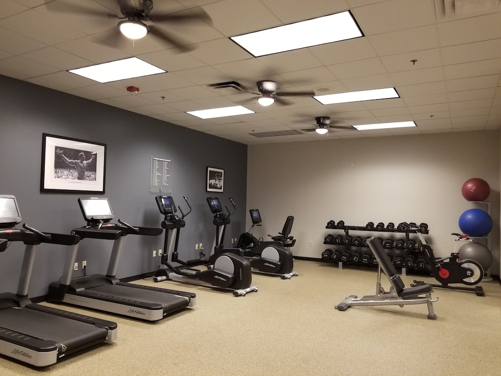 Embassy Suites by Hilton Dallas DFW Airport North - photo 44